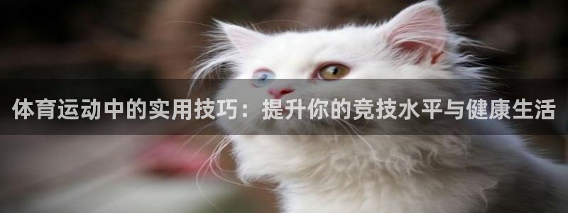 红蓝体育黑平台：体育运动中的实用技巧：提升你的竞技水平与健康生活