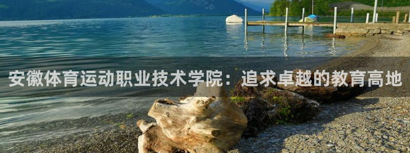 红蓝体育天梭体育app网页登录入口：安徽体育运动职业技术学院：追求卓越的教育高地