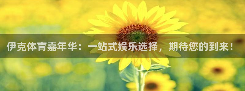 红蓝体育怎么样：伊克体育嘉年华：一站式娱乐选择，期待您的到来！