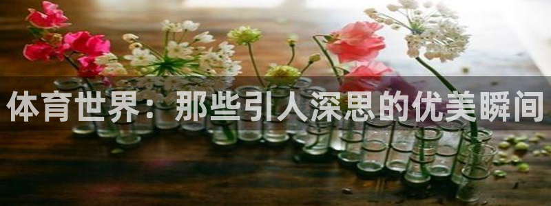 红蓝体育软件官方免费下载：体育世界：那些引人深思的优美瞬间
