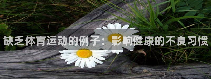 红蓝体育官网入口：缺乏体育运动的例子：影响健康的不良习惯