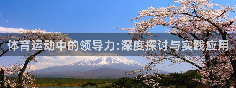 红蓝体育全站app下载安装最新版本：体育运动中的领导力:深度探讨与实践应用
