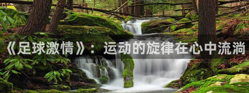 红蓝体育下载安装：《足球激情》：运动的旋律在心中流淌