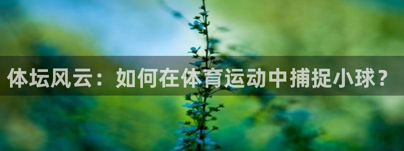 红蓝体育不出款：体坛风云：如何在体育运动中捕捉小球？