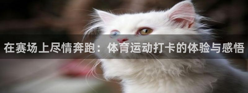 红蓝体育是什么：在赛场上尽情奔跑：体育运动打卡的体验与感悟