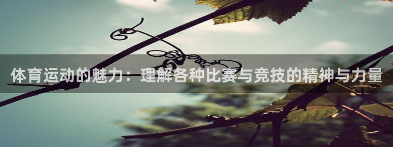 红蓝体育大全：体育运动的魅力：理解各种比赛与竞技的精神与力量
