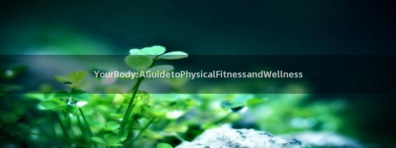 红蓝体育网页版入口：YourBody:AGuidetoPhysicalFitnessandWellness
