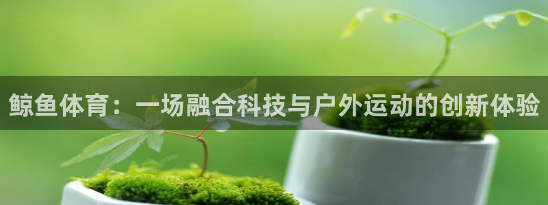 红蓝体育亚洲体育官方网站：鲸鱼体育：一场融合科技与户外运动的创新体验